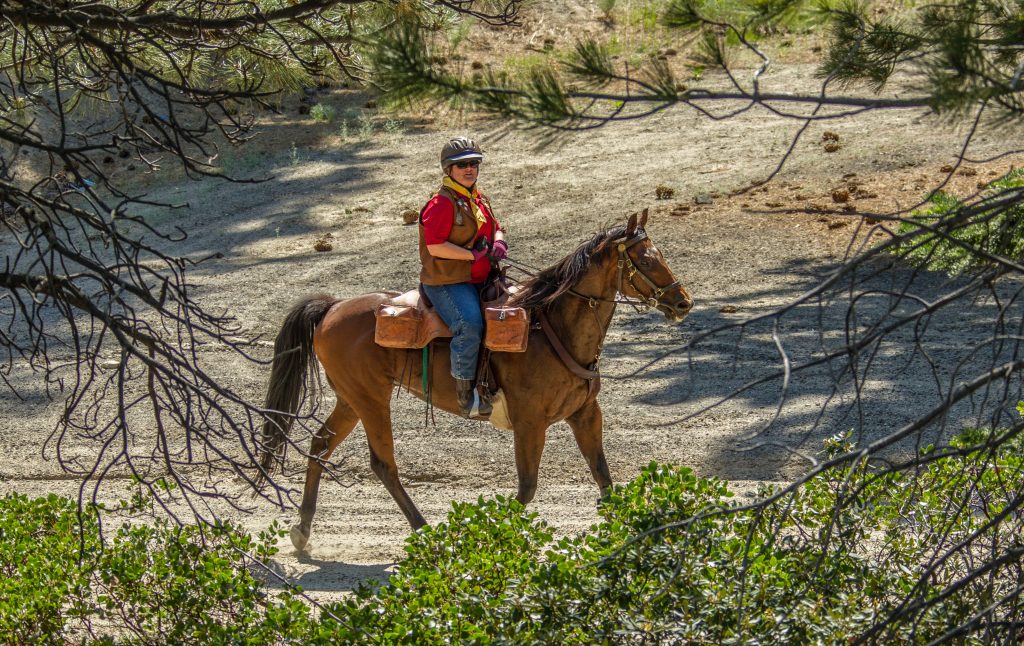 Nevada National Pony Express Association